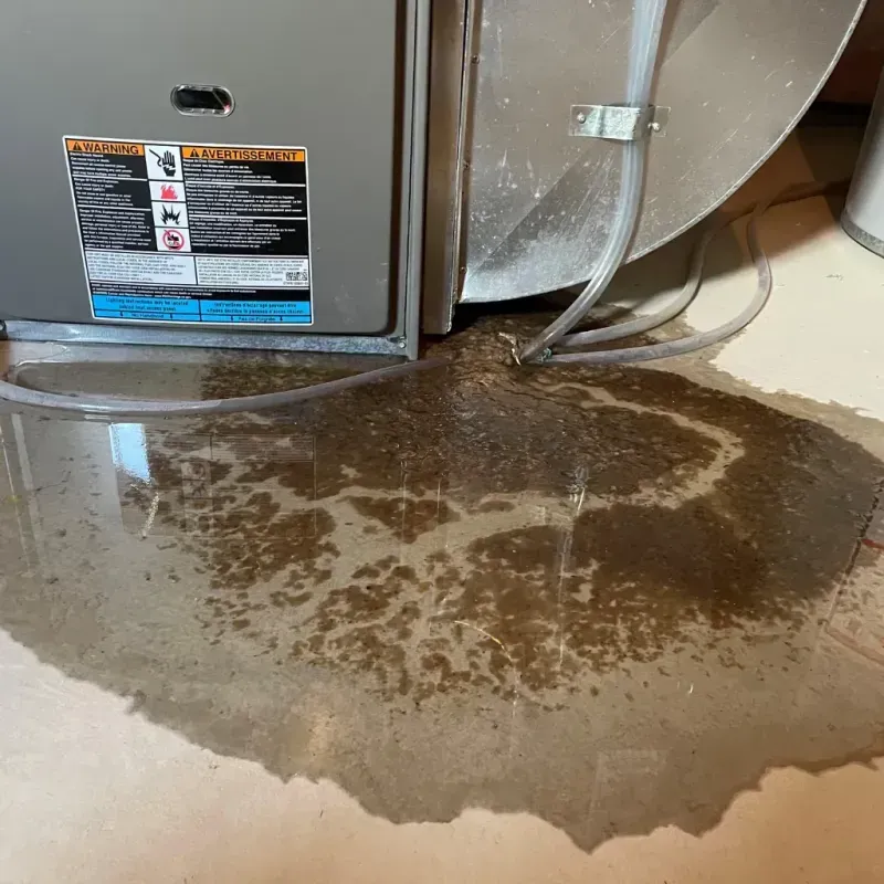 Appliance Leak Cleanup in Winston County, AL